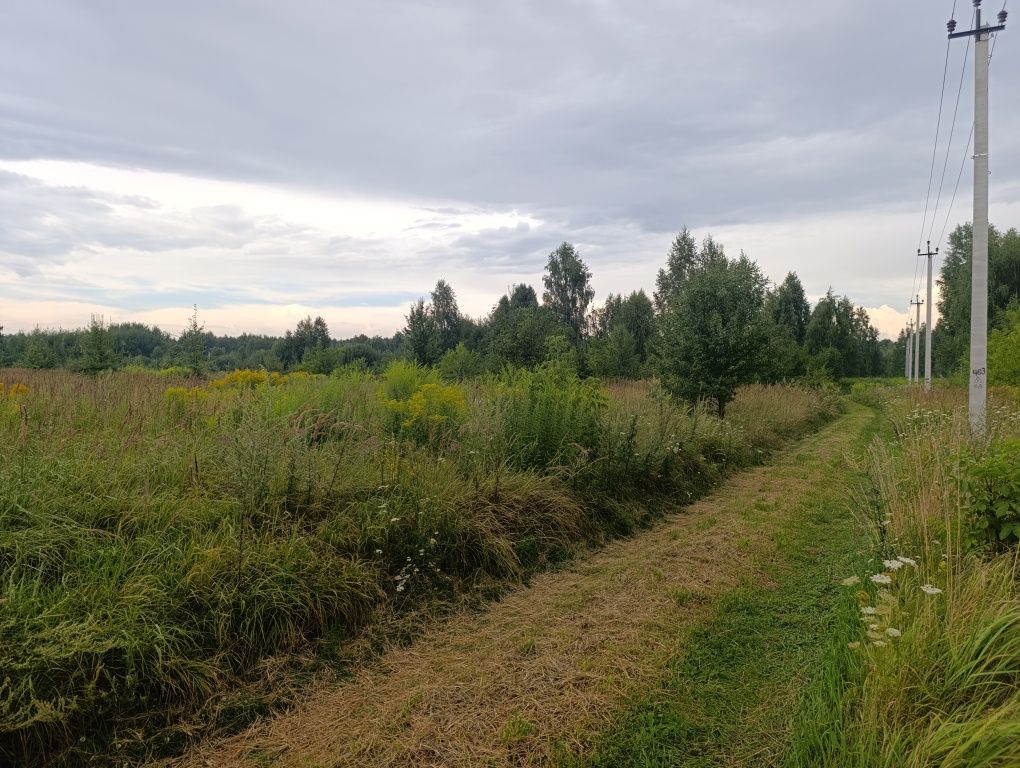 Продаж земельної ділянки с. Ясногородка