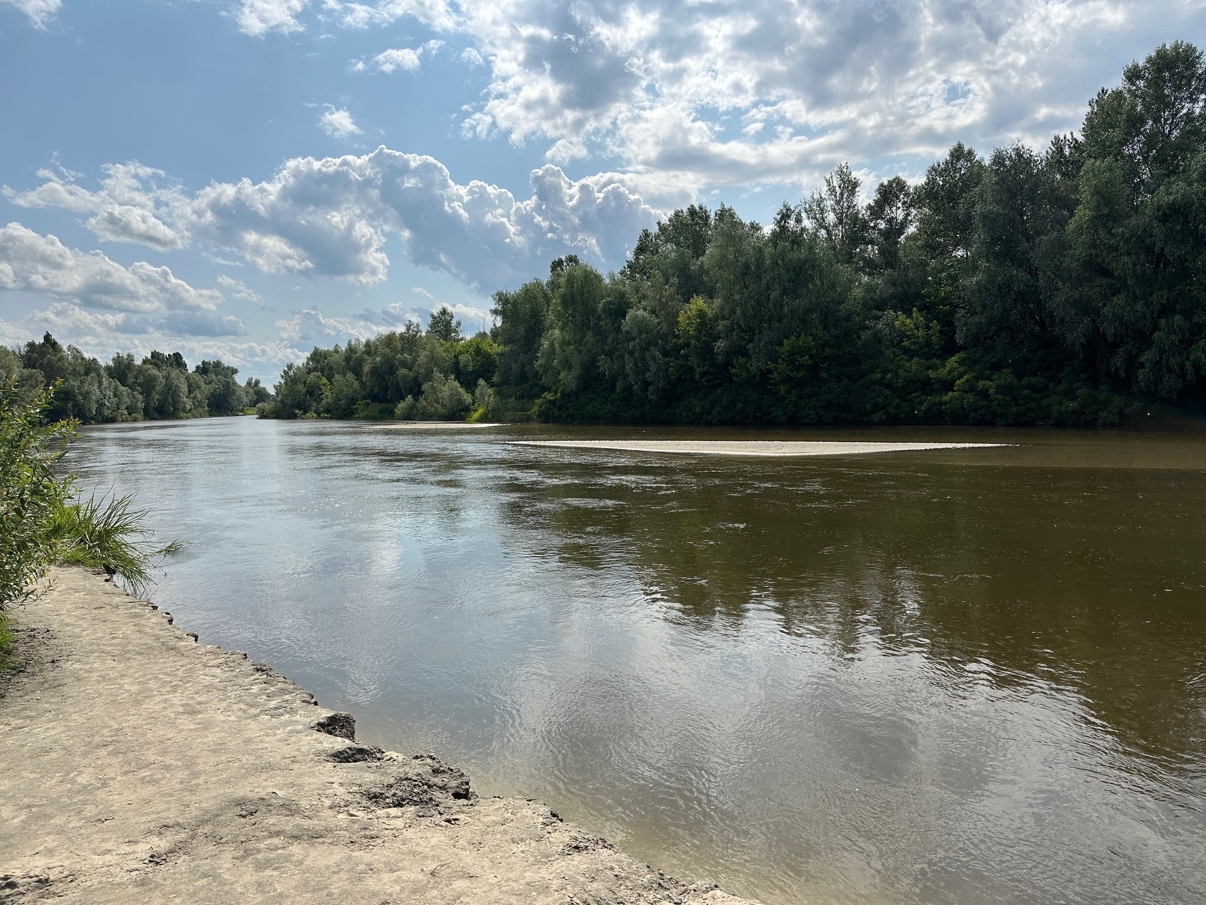 Здам в оренду Будинок Riverside 1 біля річки Десна , Любич на пляжі