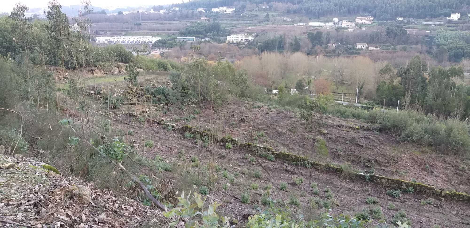 Penafiel-Terreno construção 5712m2, próximo e vistas  Parque Cidade