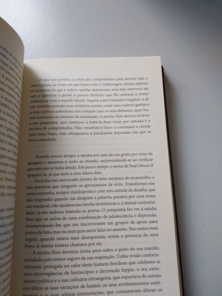 O Caderno de Maya. Portes incluídos.