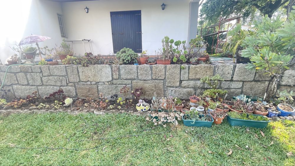 Pintura restauros lavagens telhados
