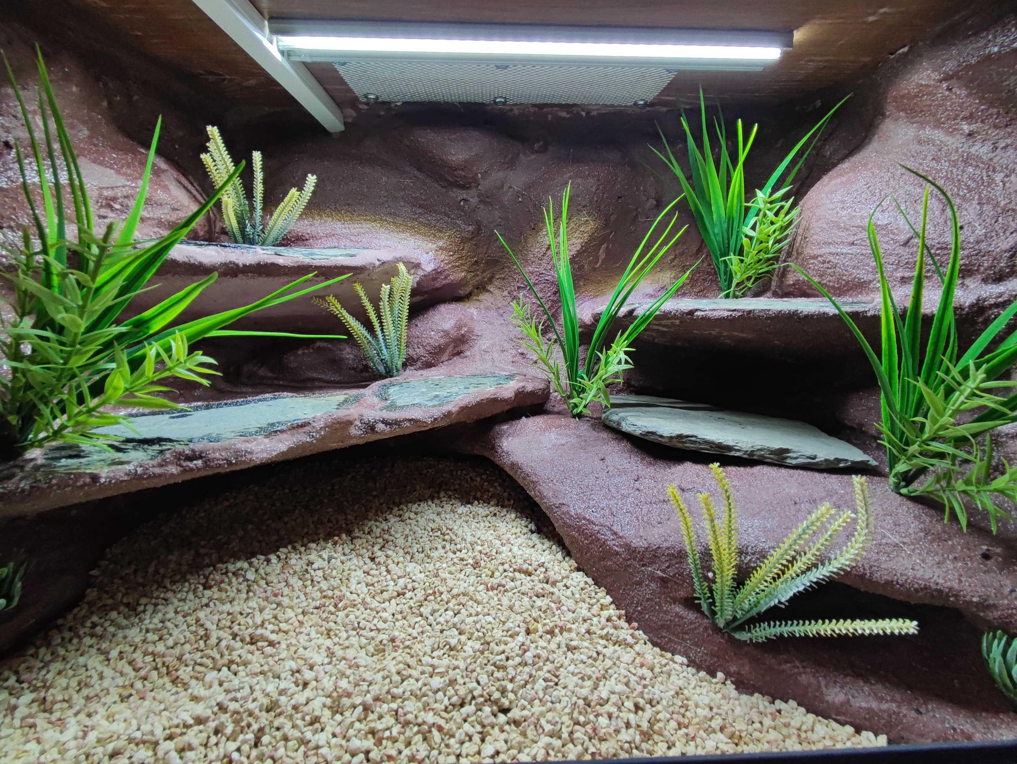 Terrarium pustynne nr741 60/40/40 dla gekona lamparciego DOSTĘPNE