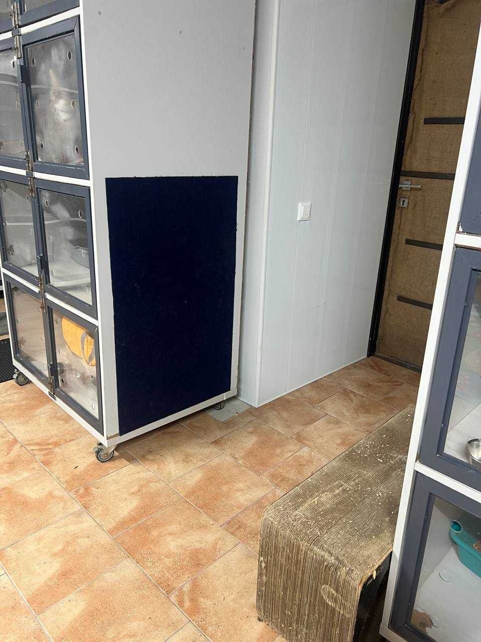 Перетримка для котів КОТОСТАНЦІЯ, м. Київ, 100грн\доба