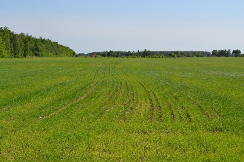 Продам земельну ділянку