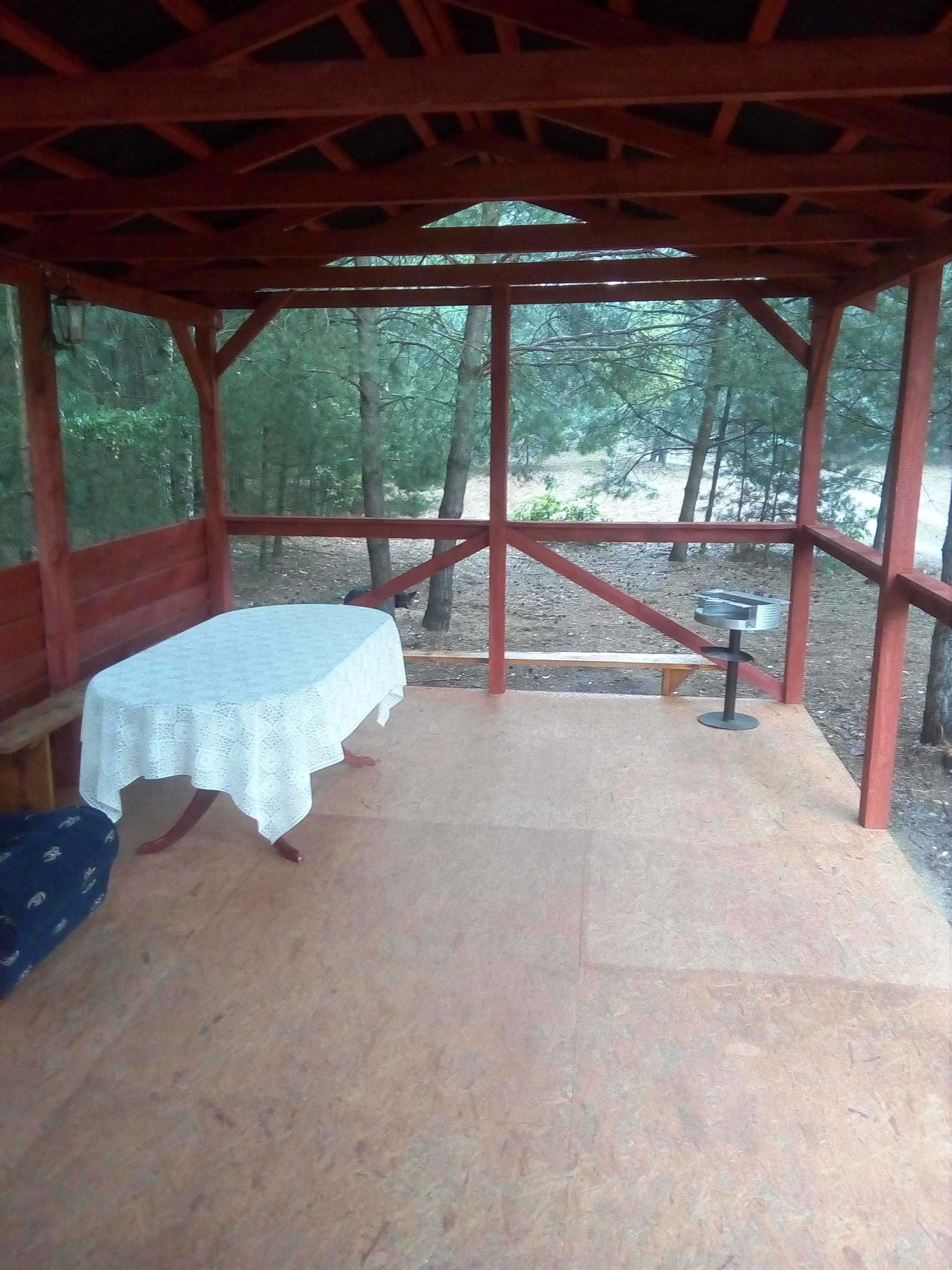 Agroturystyka Domek w lesie nad Wartą
