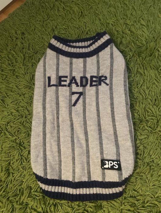 Roupa para cão cinzenta