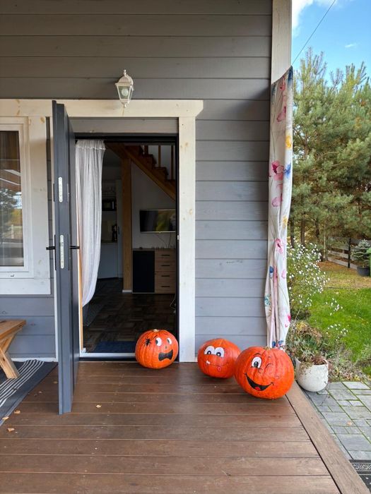 Dom letniskowy nad stawem do wynajęcia, Nowa Wieś