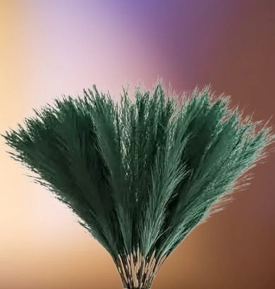 Trawa w stylu boho zgniła zieleń