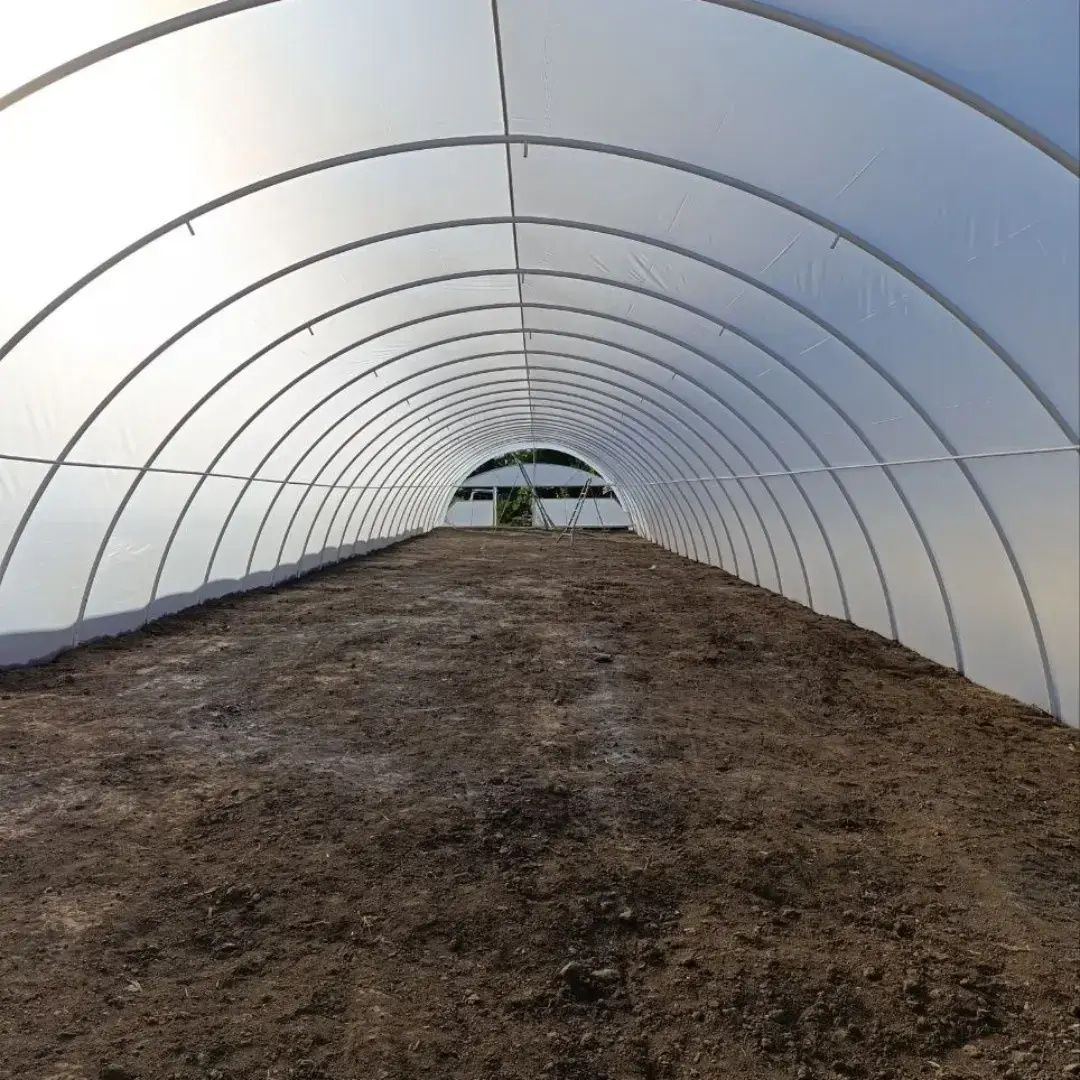 Теплиця 10×50 Оцинкована