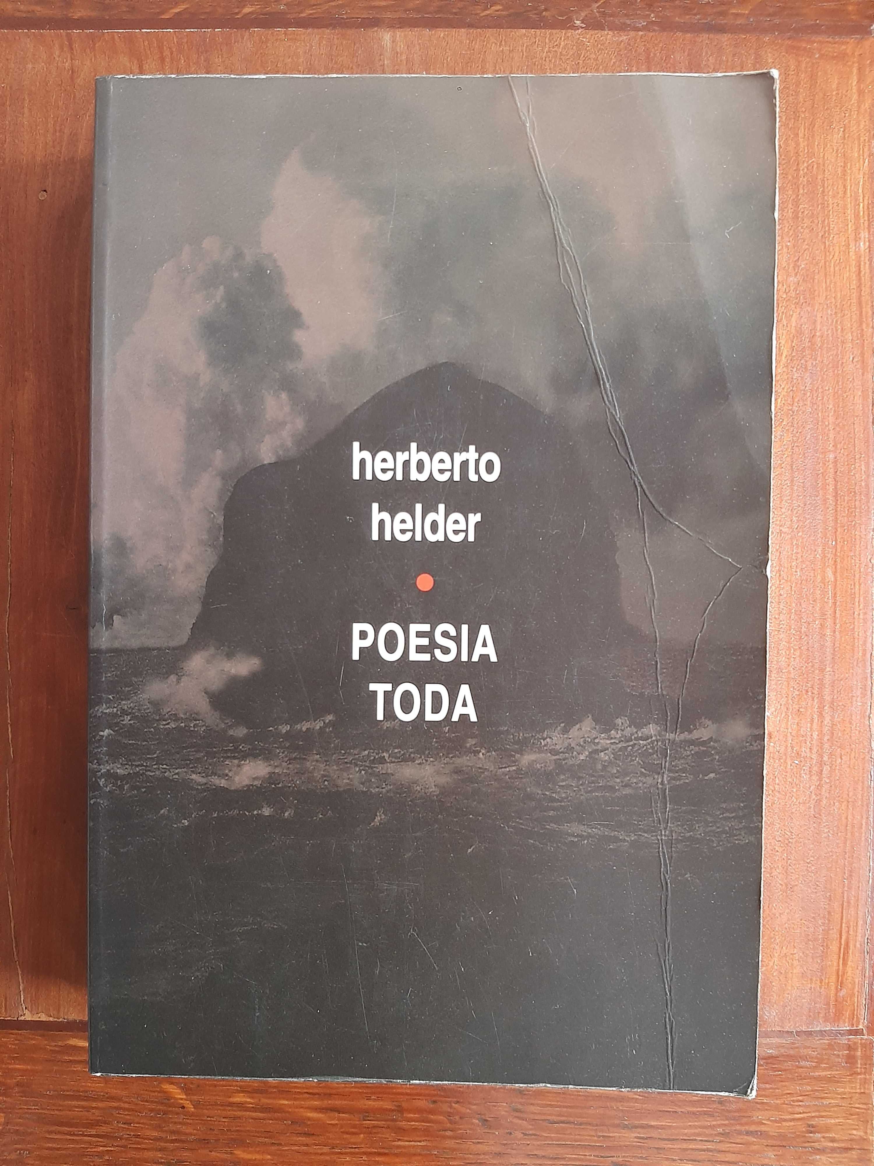 Poesia Toda de Herberto Helder