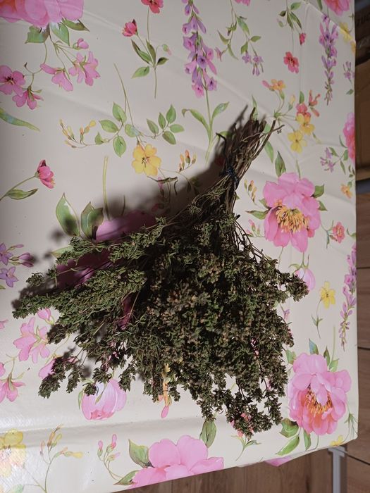 Cząber suszony pęczek