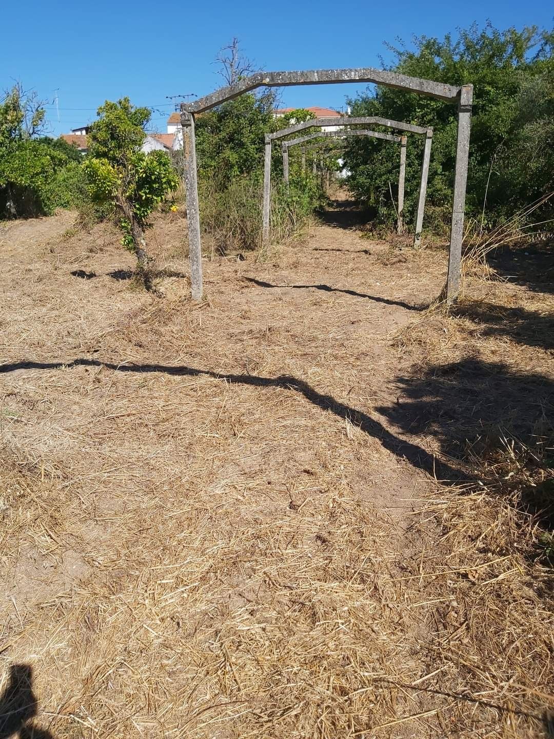 Vendo terreno urbano em Santarém