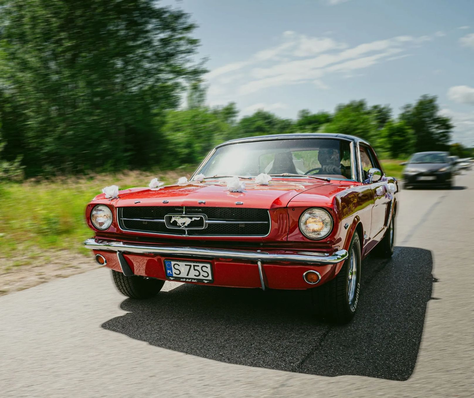 Ford Mustang 1965 V8 289 C-Code