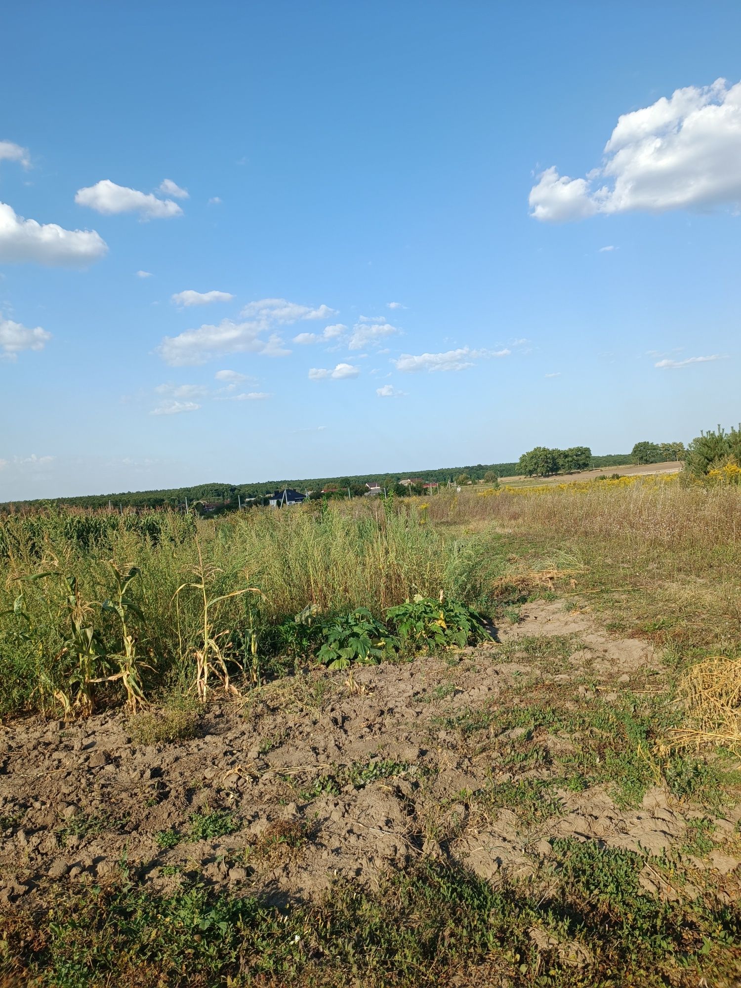 Продаж ділянки Стрижавка
