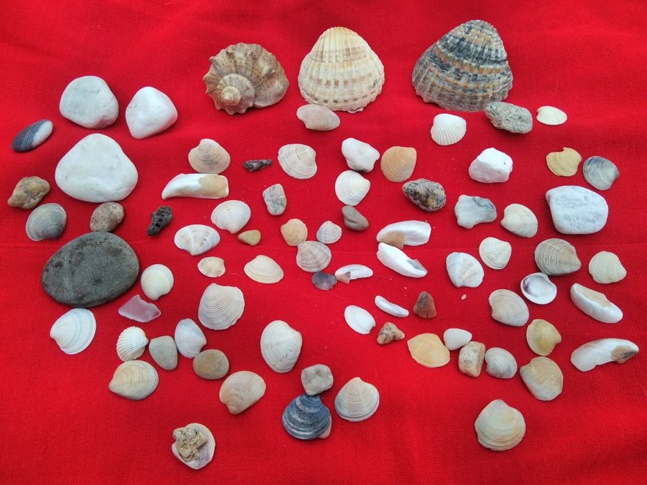 1 пакетом ракушки камешки в аквариум