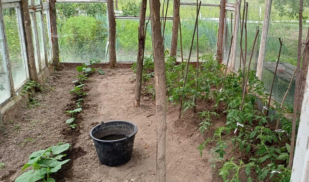 Терміново продам цегляний дачний будинок з гаражем і садом