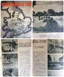 Recolhendo o pão : o agricultor britânico em guerra. 2a Guerra Mundial