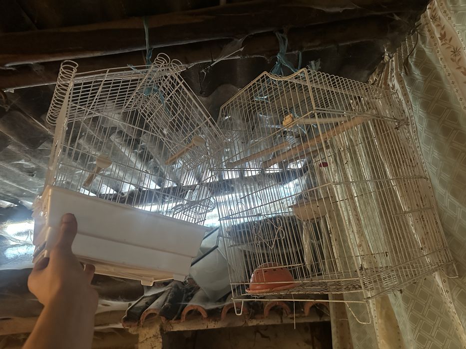 Duas gaiolas usadas novas para passaros