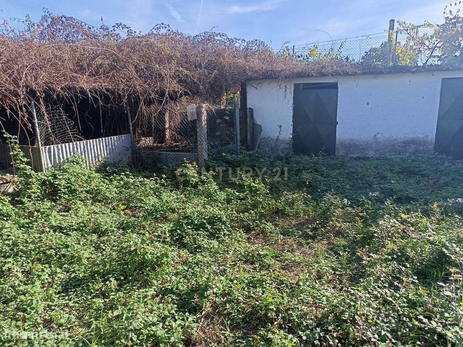 Terreno para Construção em Cervães – Excelente Oportunidade de Investi