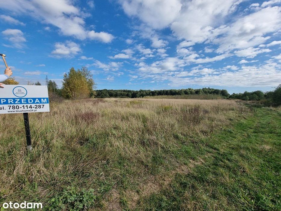 Działka rolna 1,16 ha Zalesie Krasieńskie