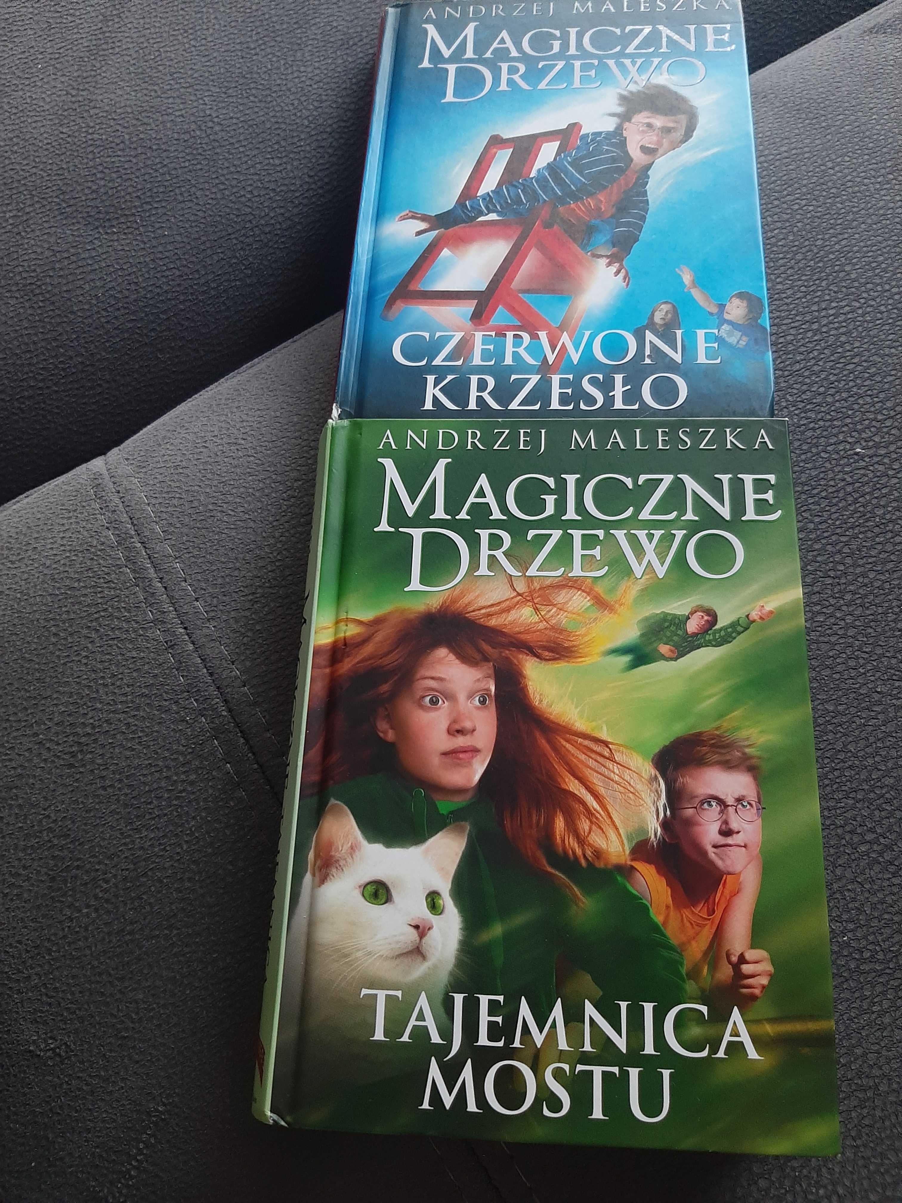 Magiczne drzewo. Czerwone krzesło. Tajemnica mostu.