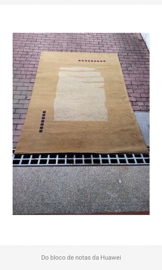 Carpetes sala e hall