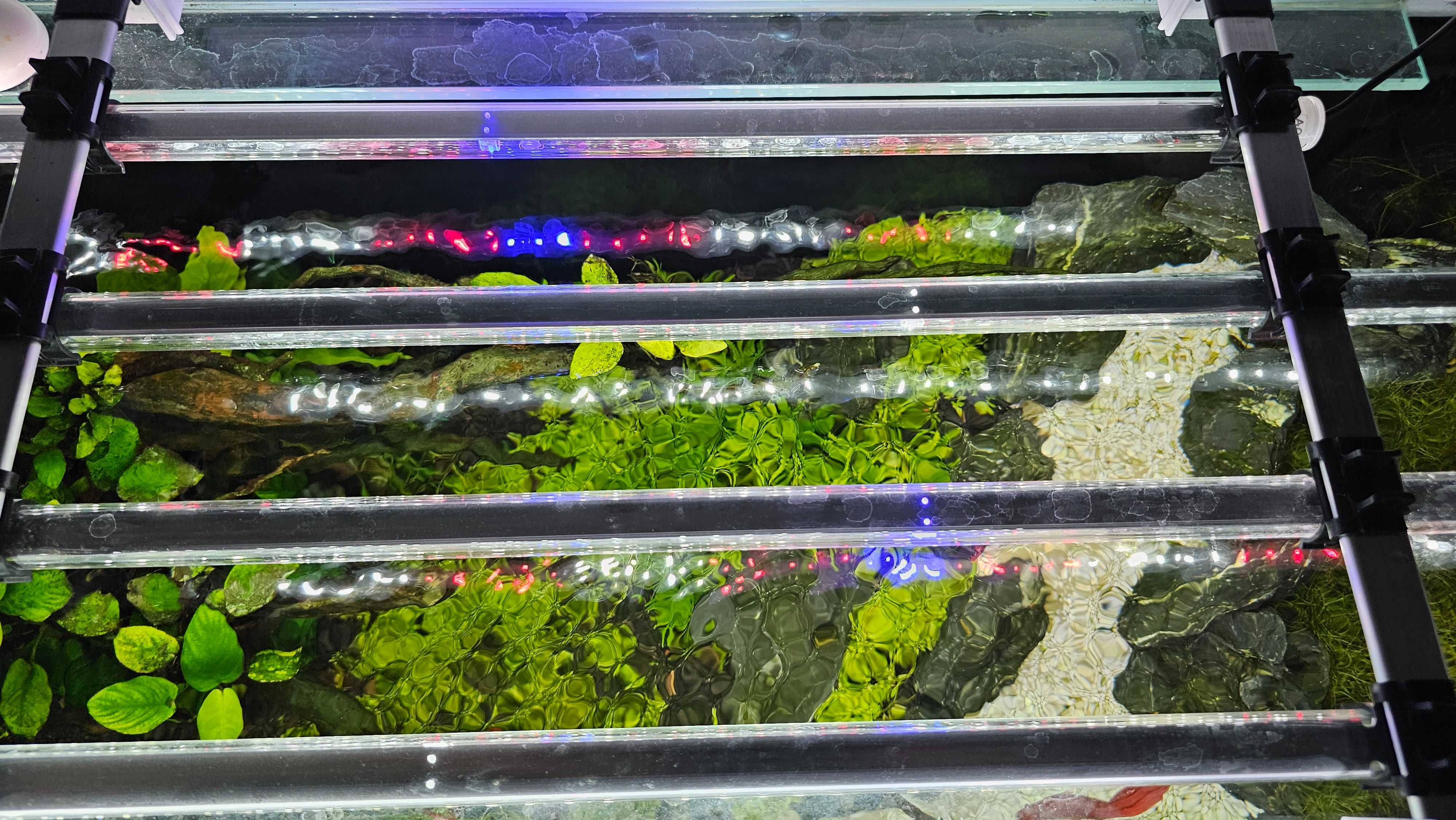 Aquael Leddy Tube Day&Night 2.0 14W