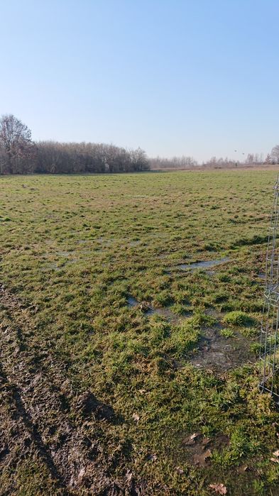 Sprzedam działkę na zielonym Ursynowie 8500 m2