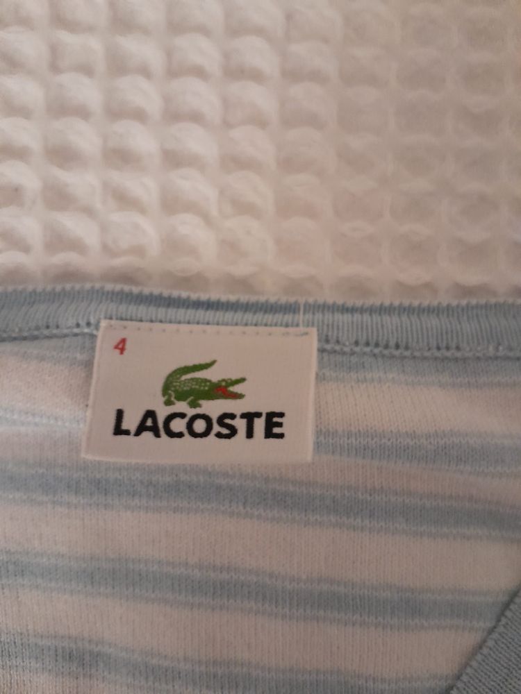 Camisola lacoste azul bebe