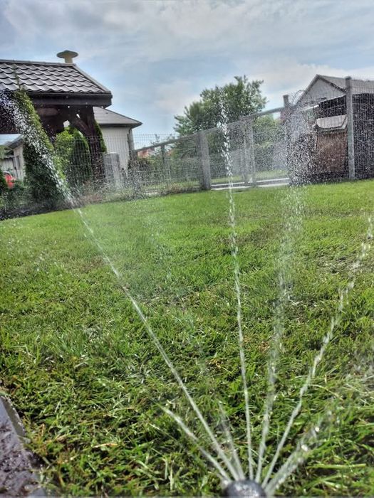 Trawa z rolki z foli lub gruntu od 50 m2.Z ułożeniem lub bez