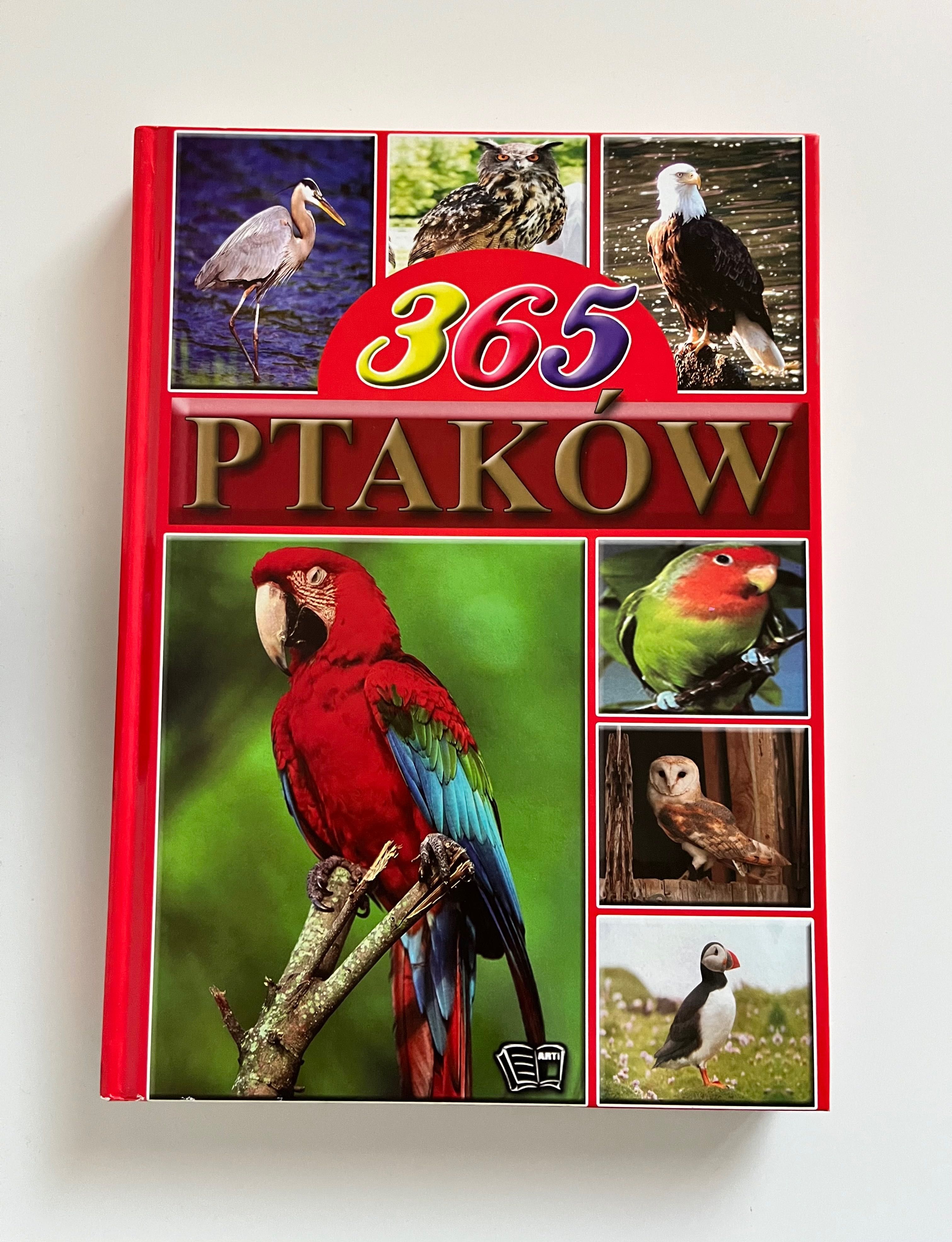 Książka 365 ptaków