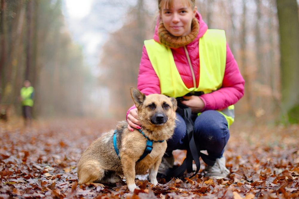 Funcik, Mikro psiak czeka na dom