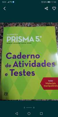 Cadernos de fichas 5 Ano