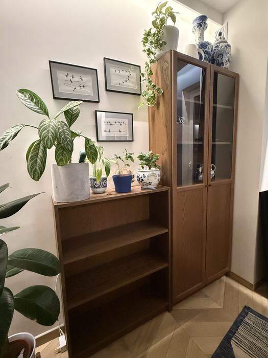 Witryna billy oxberg