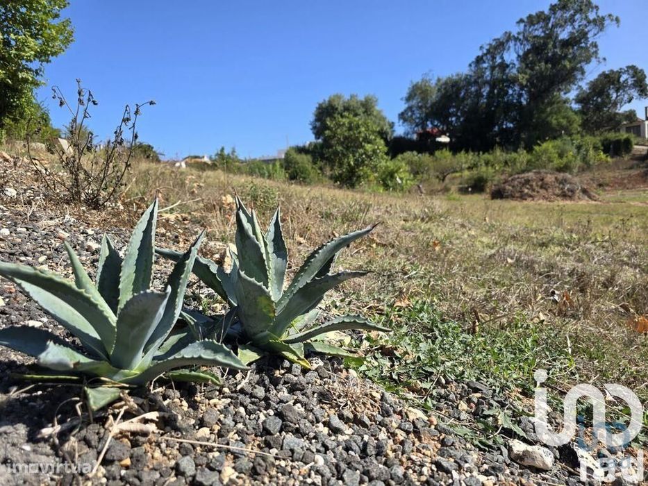 Terreno em A dos Francos