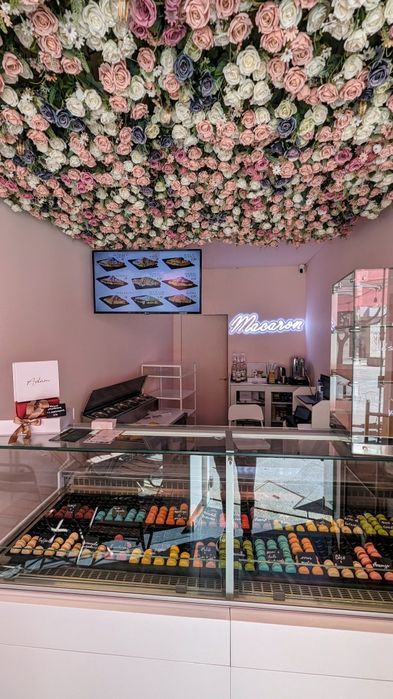 Vitrine Pastelaria Minimal - Jordão Cooling Systems