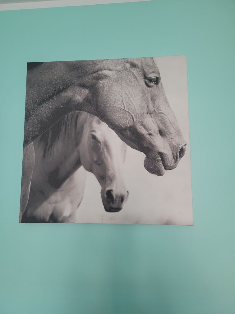 Obraz na płótnie FEEBY Canvas, Konie, 60×60cm