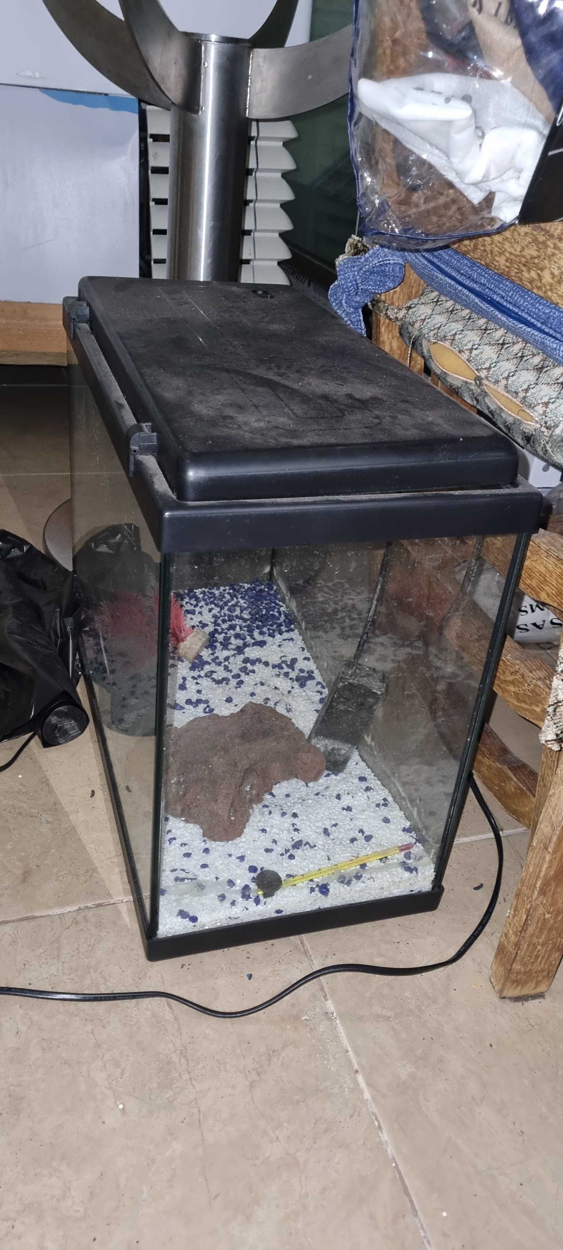 Aquário para peixes