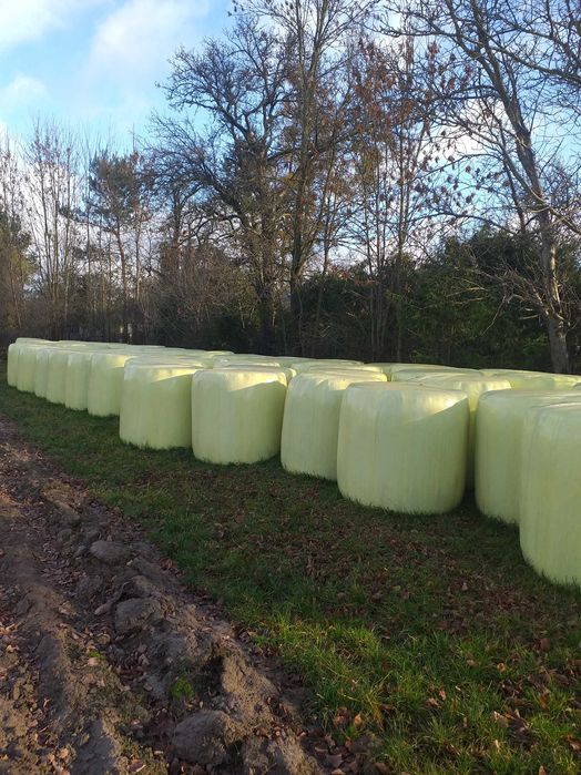 Likwidacja gospodarstwa