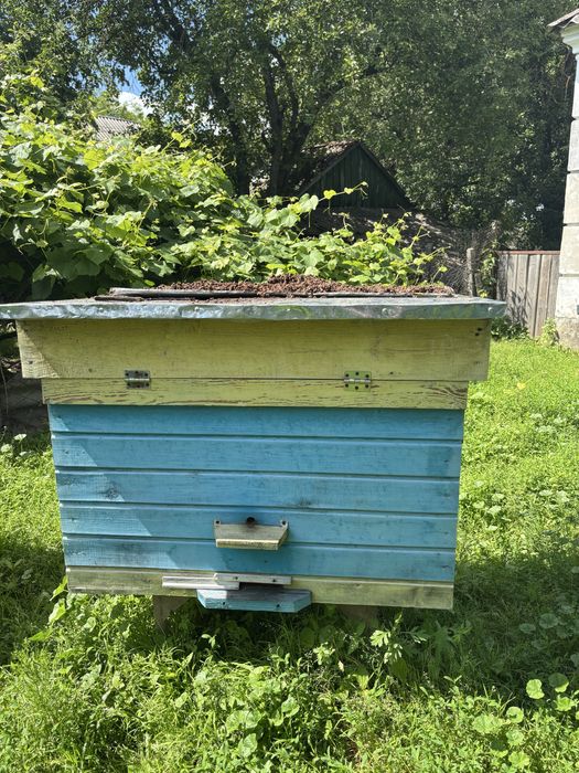 Продам вулики для бджіл