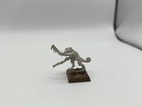 Cameleon Lizardman metal Warhammer FB