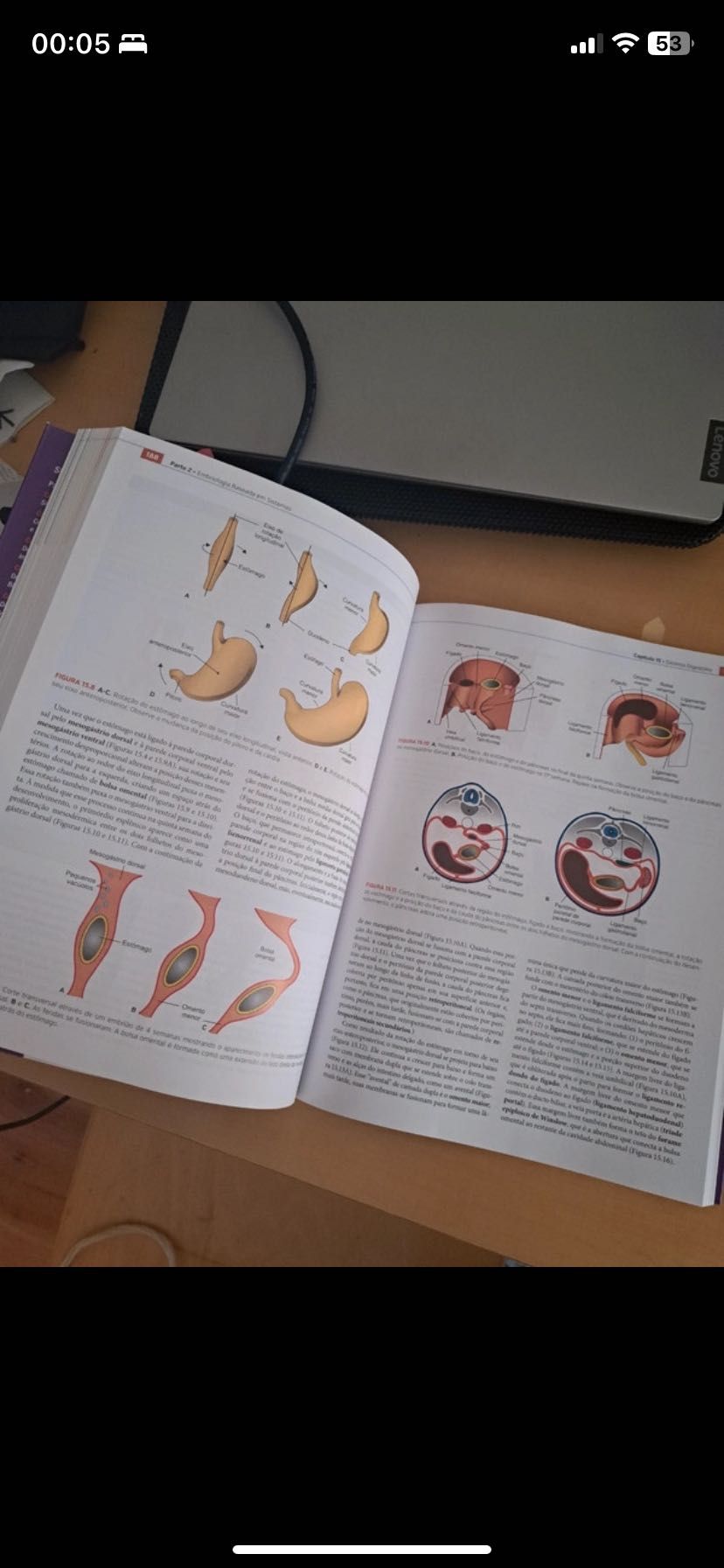 Livro Embriologia Langman