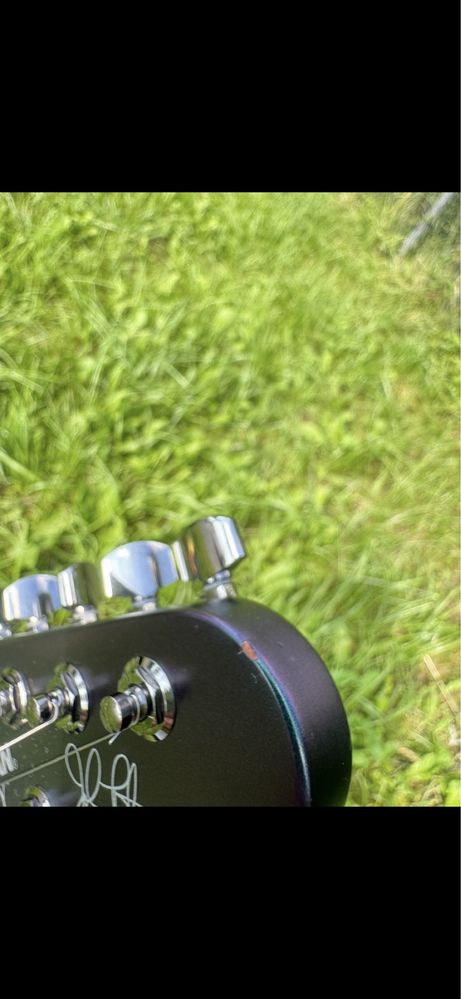 Music Man Majesty Arctic Dream 7-strunowa