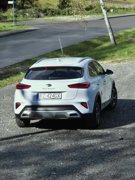 Ładny crossover Kia X ceed