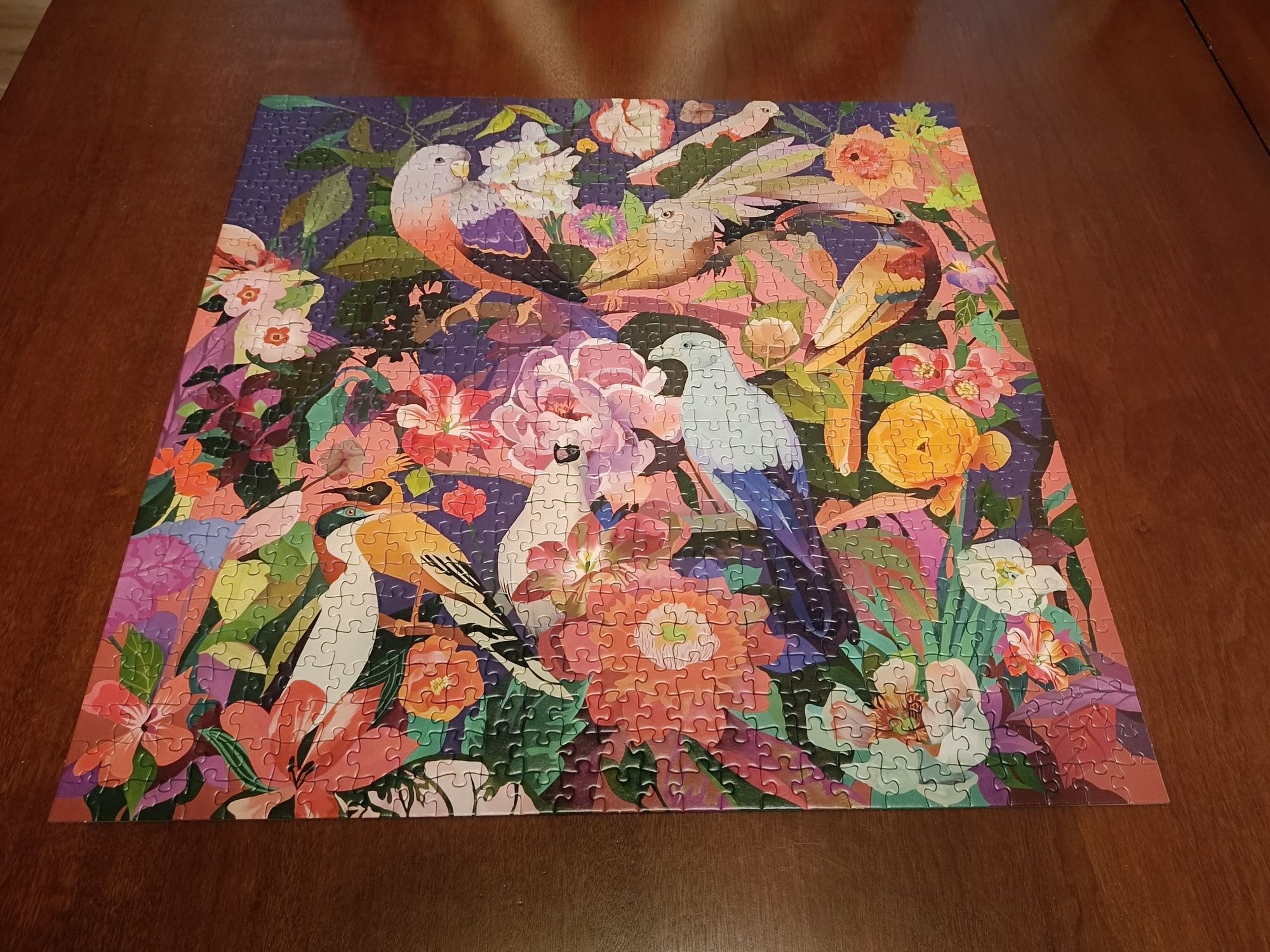 Puzzle 750 Kolorowe ptaki, kolorowe kwiaty