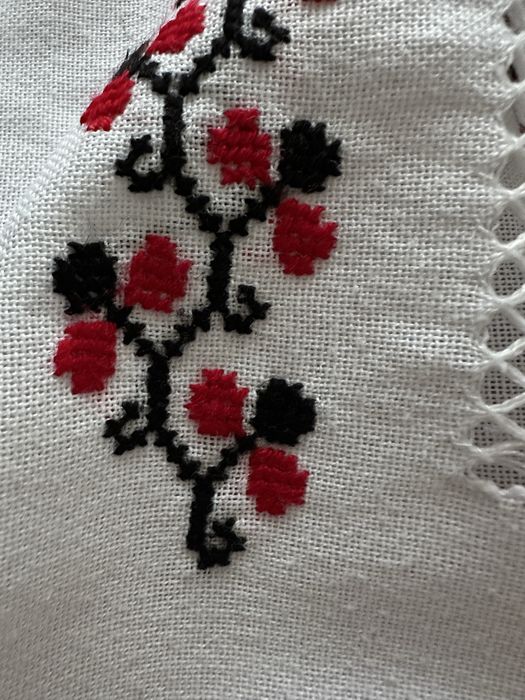 Вишиванка, спідниця