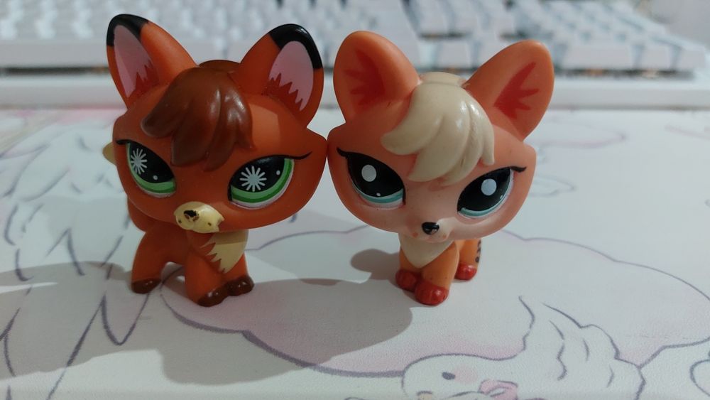 LPS lis, lisy #807 i #1812