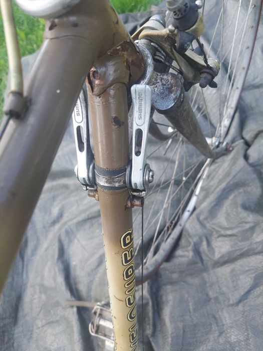 Kolarka SR Sakae Road champion