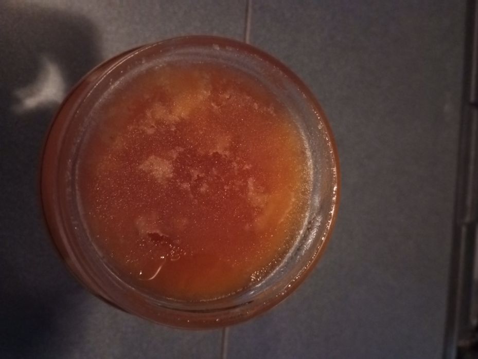 Miód Grecji 1200 g słoik