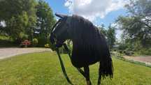 Konik Hobby Horse KHTAria rozmiar A3